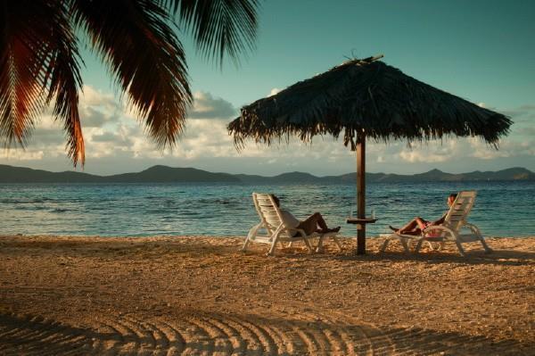 Nanny Cay Resort Marina Tortola Nature photo